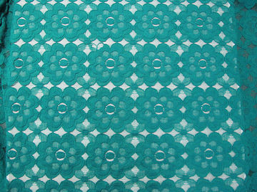 SGS syd-0008 van Ce van mooie Groene van de Katoenen Nylon het Netwerkeco Kantstof vriendschappelijke leverancier