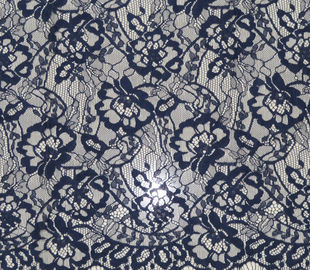 nylon kantstof & katoenen kantstof voor kleding en dameskledingstuk leverancier